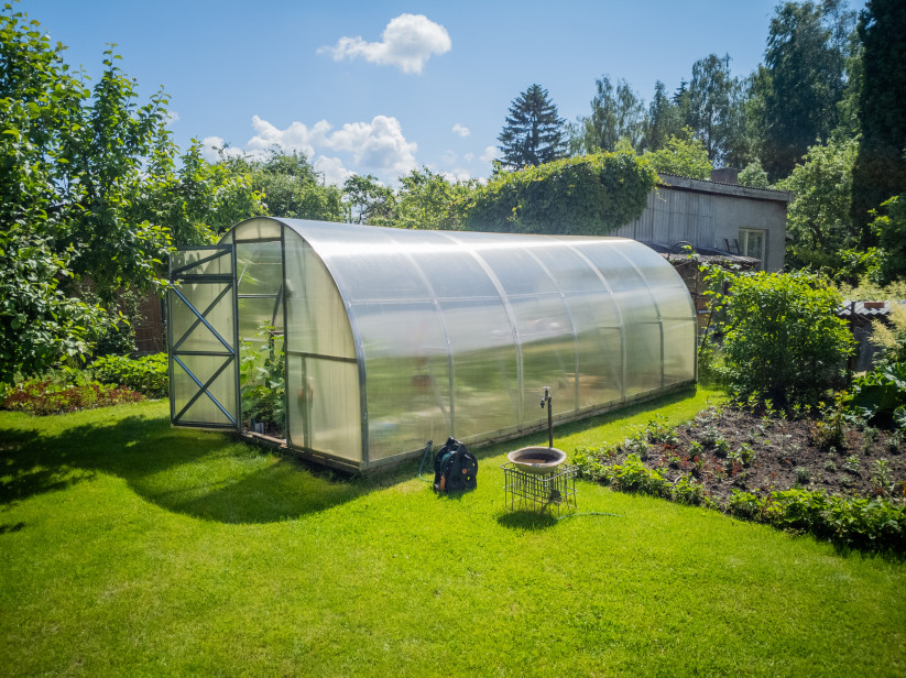 Greenhouse and lush garden area.