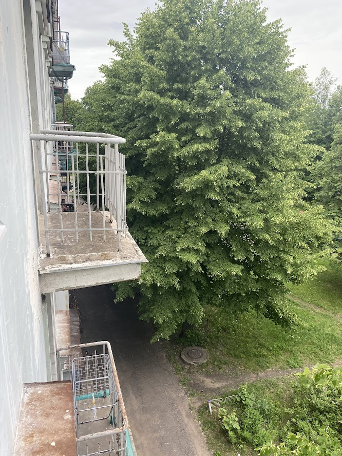 View from balcony of tree and path.