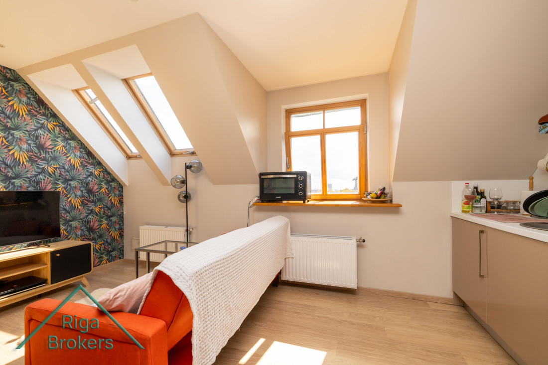 Apartment room with roof windows and orange sofa.