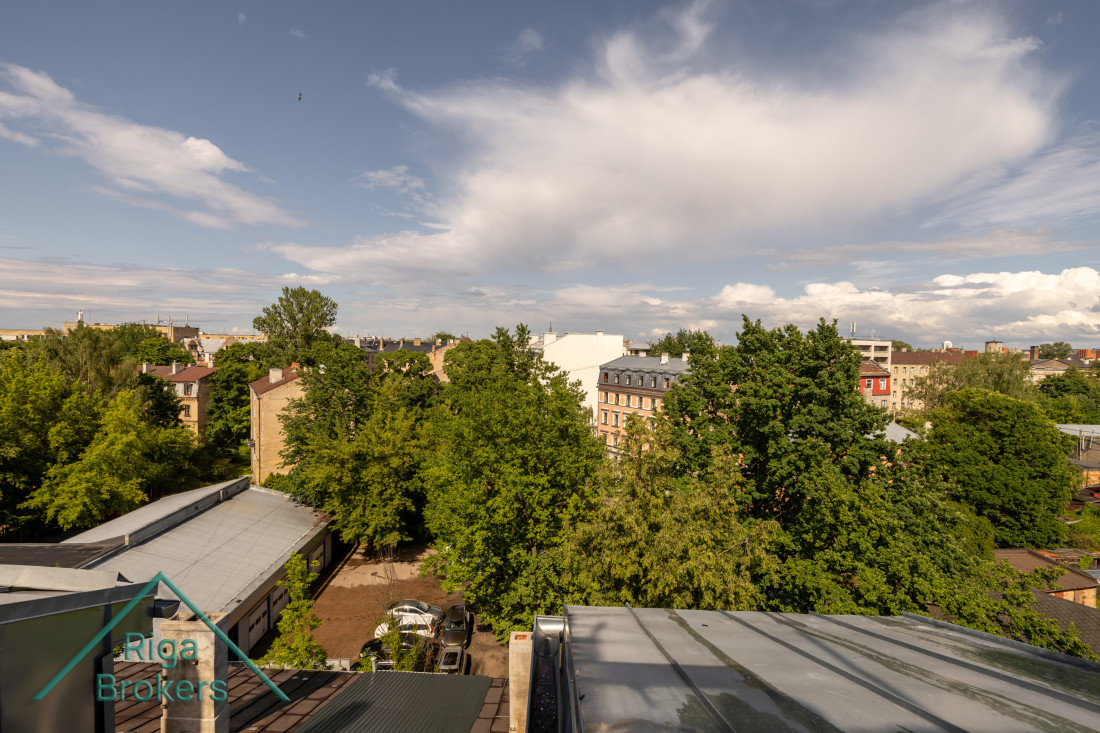 Rooftop view of a tree-lined cityscape.