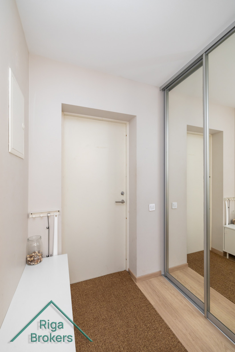 Hallway with a white door and mirrored wardrobe.
