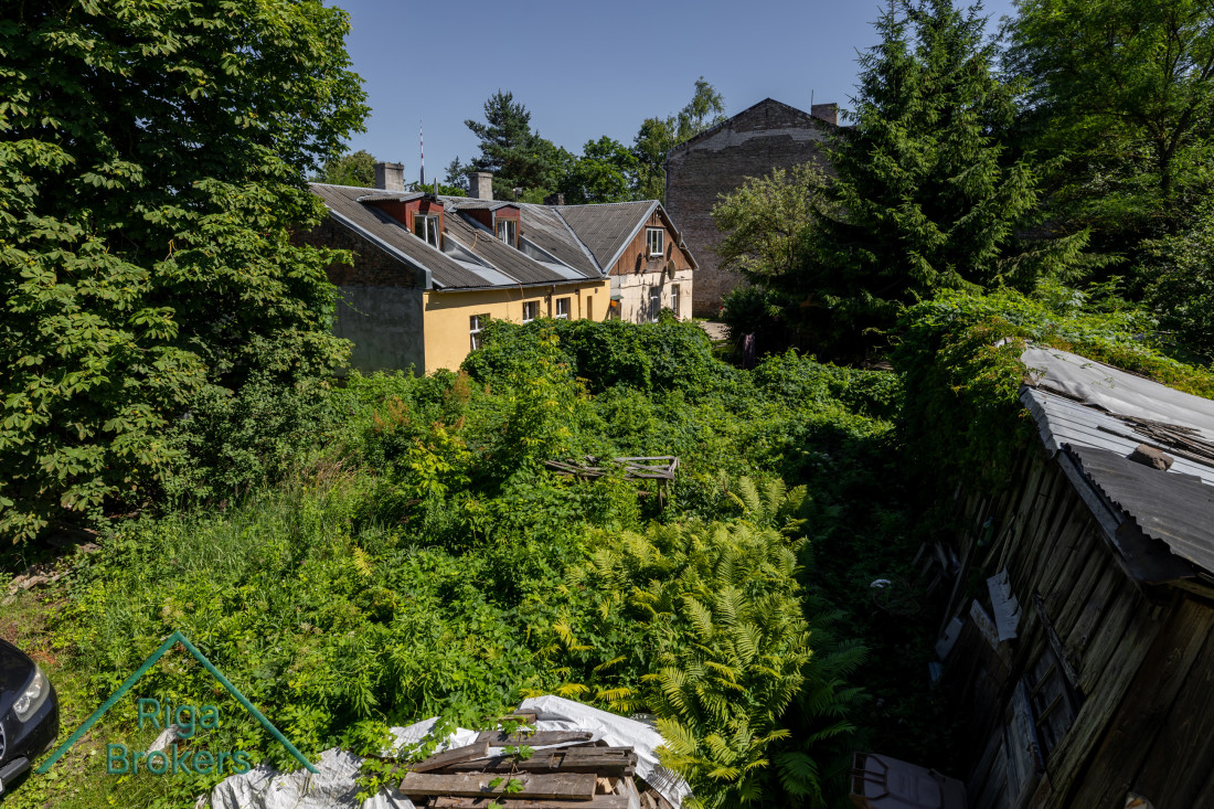 Old rundown building with tall grass