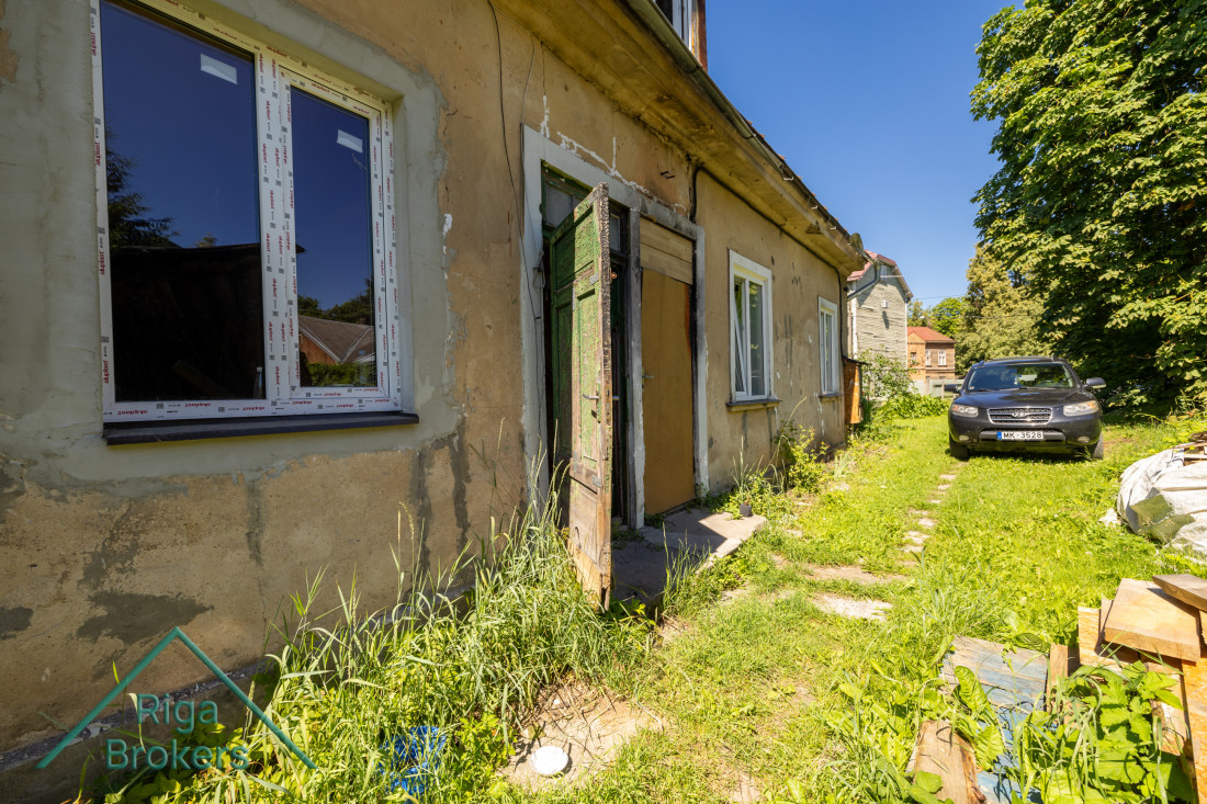 Sunlit building with an unkempt garden