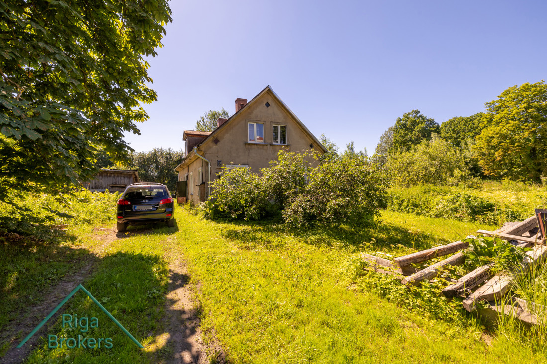 Sunlit building surrounded by greenery