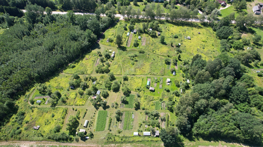 Dense forest area near land plot.