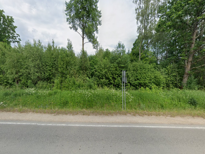 Road with adjacent forest.