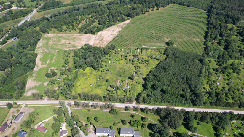 Rural landscape with land plots.