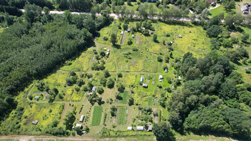Dense forest area near land plot.