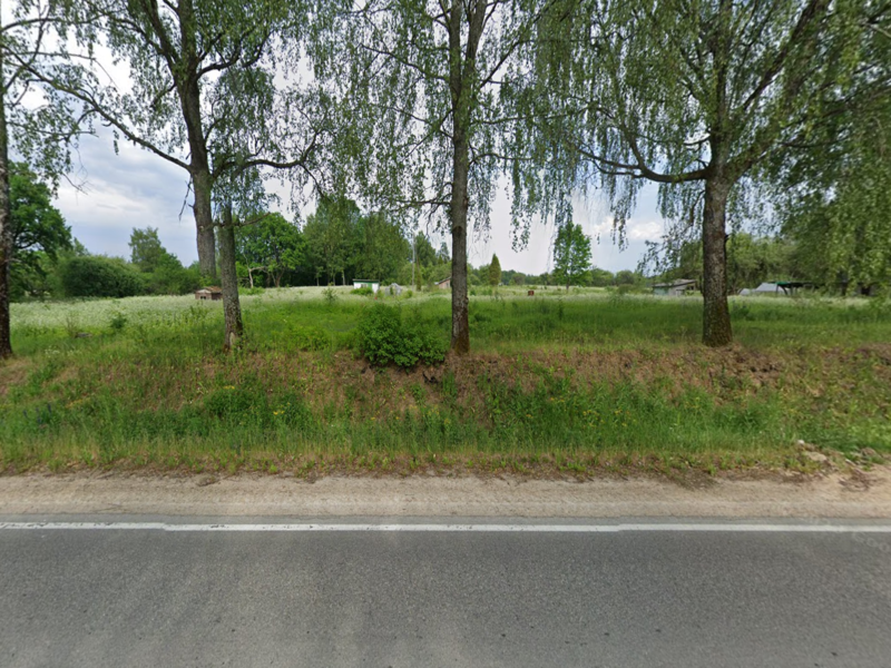 Road with trees and scenery.