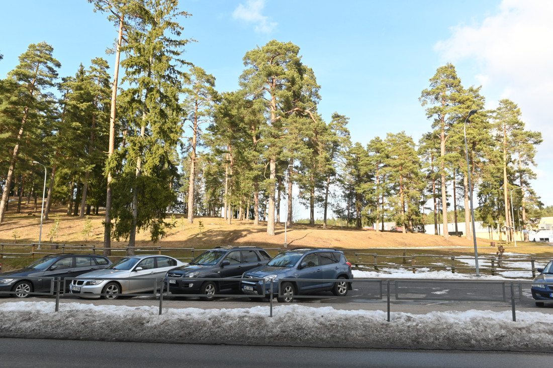 Ielas pretējā pusē ir mašīnu stāvvieta un parks ar veciem kokiem