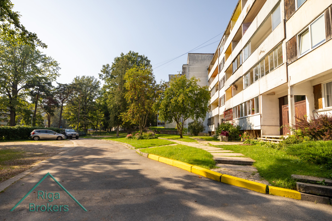 Front yard of a building with trees.