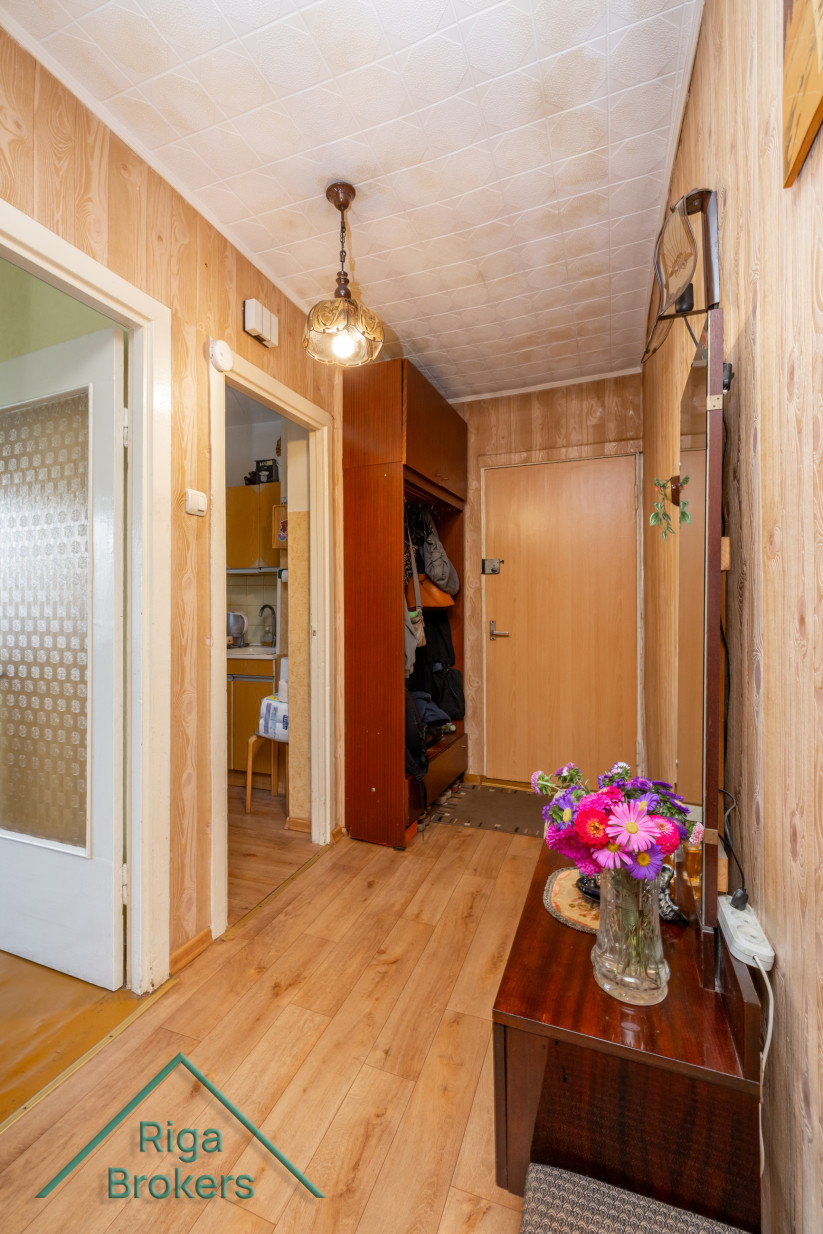  Apartment hallway with a closet.