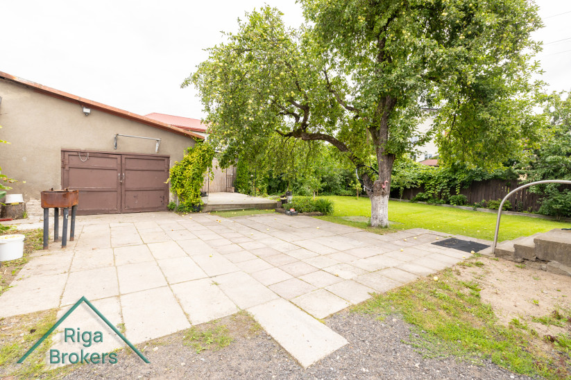 Backyard with apple tree and garage.