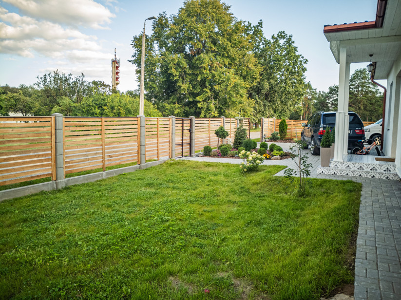Pagalms ar žogu un apstādījumiem.