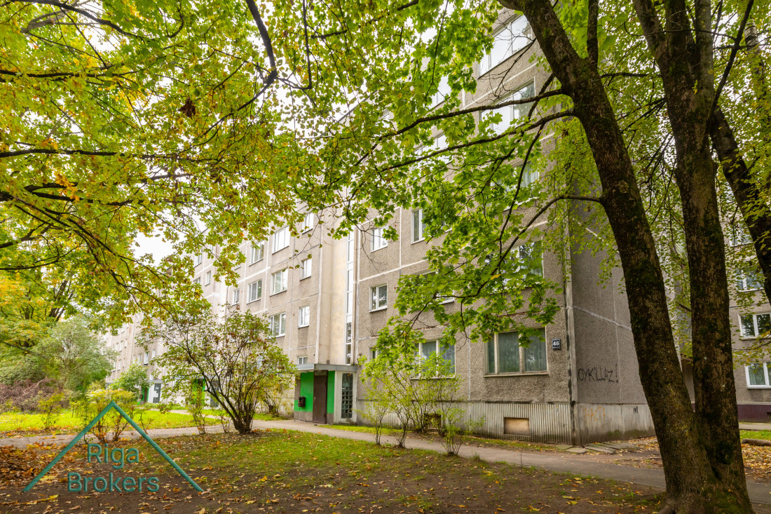 Daudzdzīvokļu māja ieskauta zaļumos.