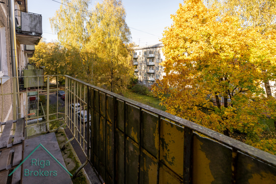 View from the balcony to the yard.