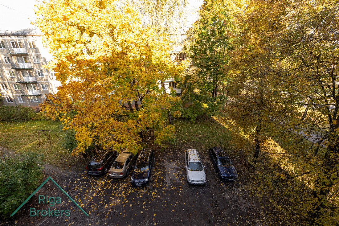 Yard with cars and trees.