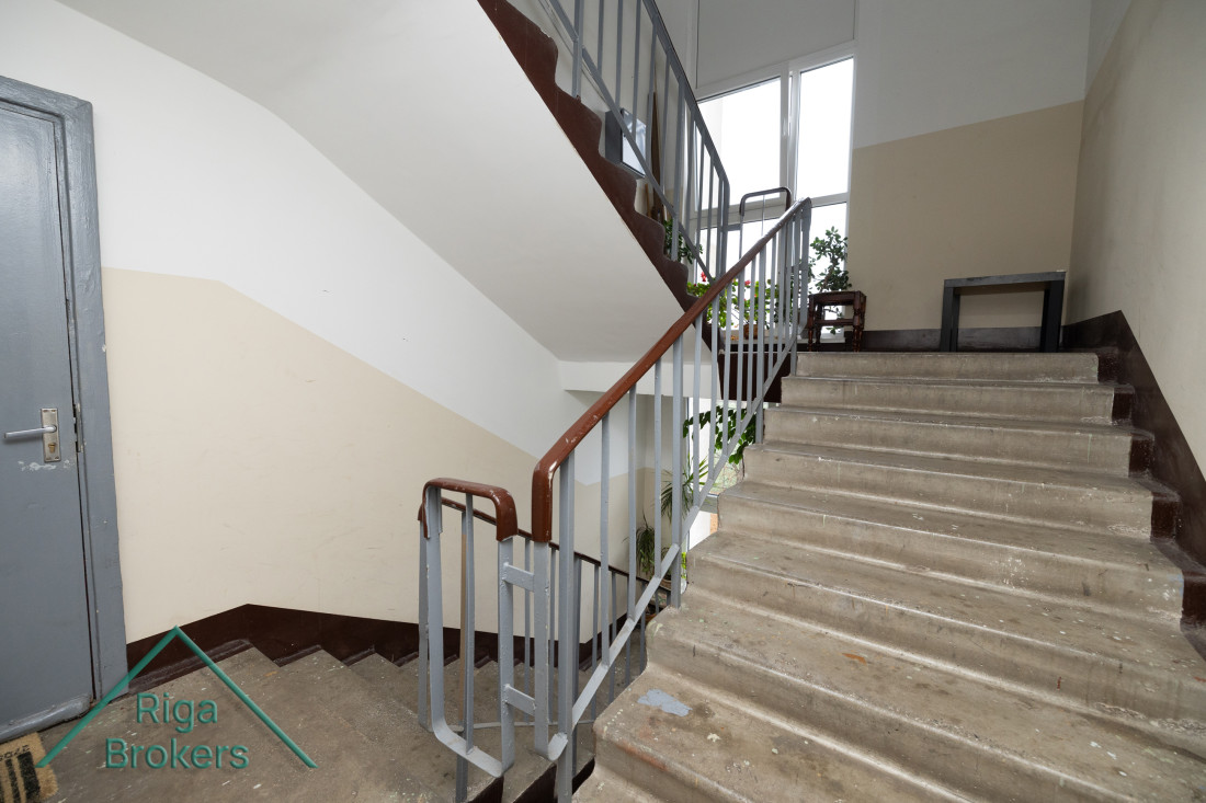 Stairwell with windows and plants.