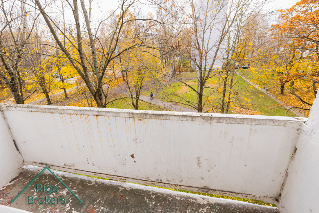 Balcony overlooking a park in autumn.