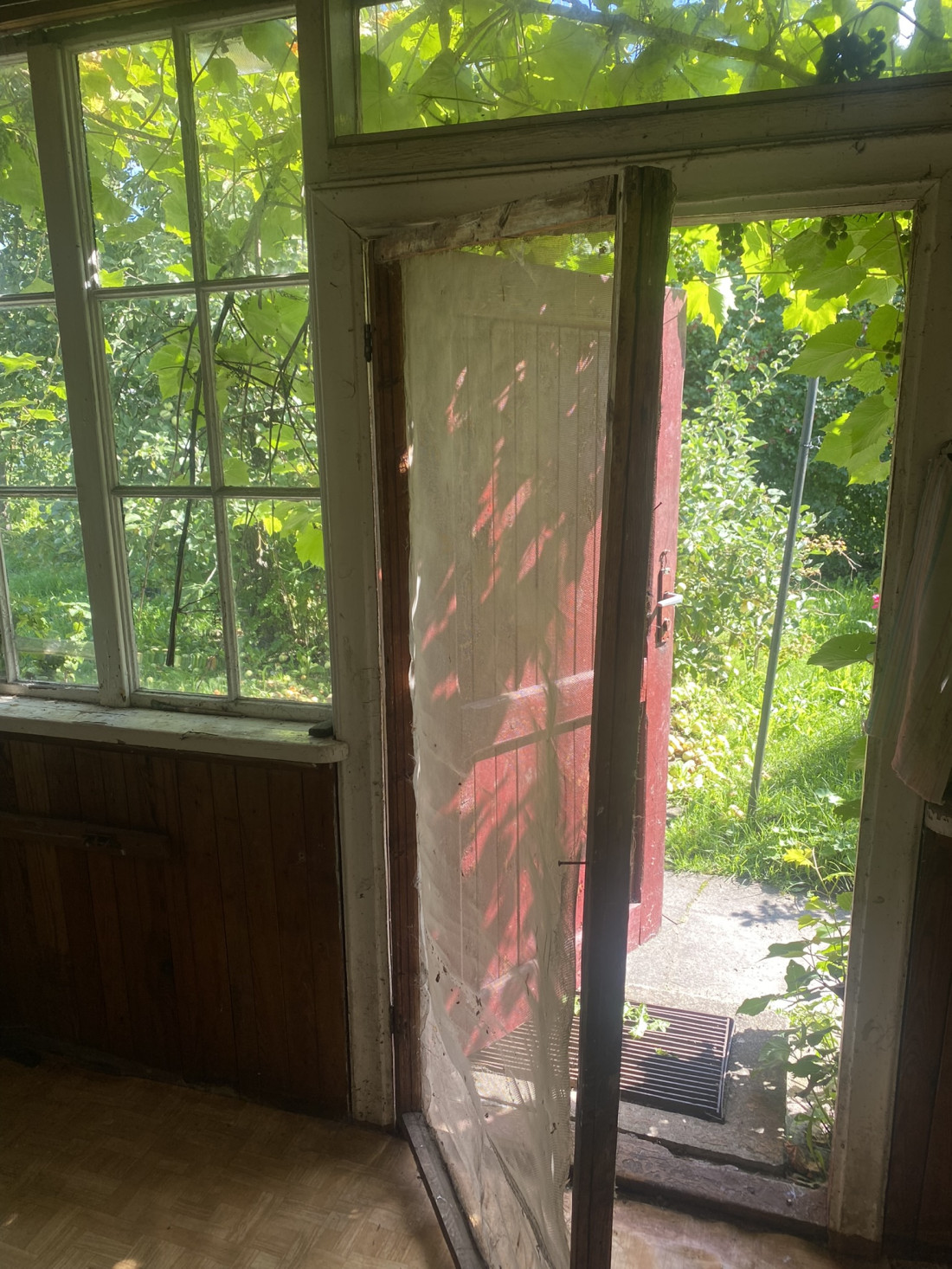  Veranda ar stiklotu durvi un zaļumu fonu.