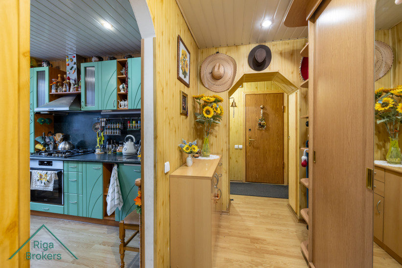 Connection between kitchen and hallway with decorations.