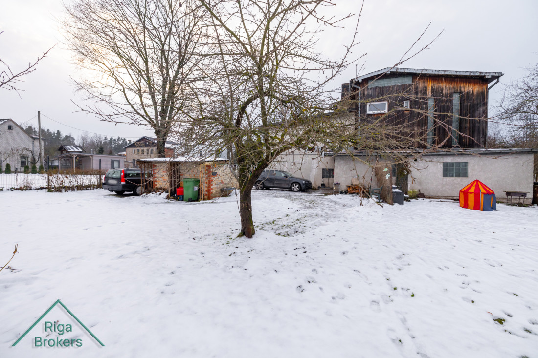 Spacious snowy garden with tree and shed.