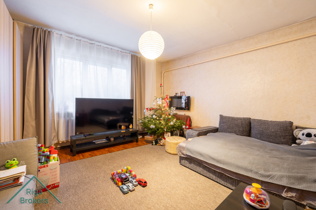 Living room with Christmas tree and TV.