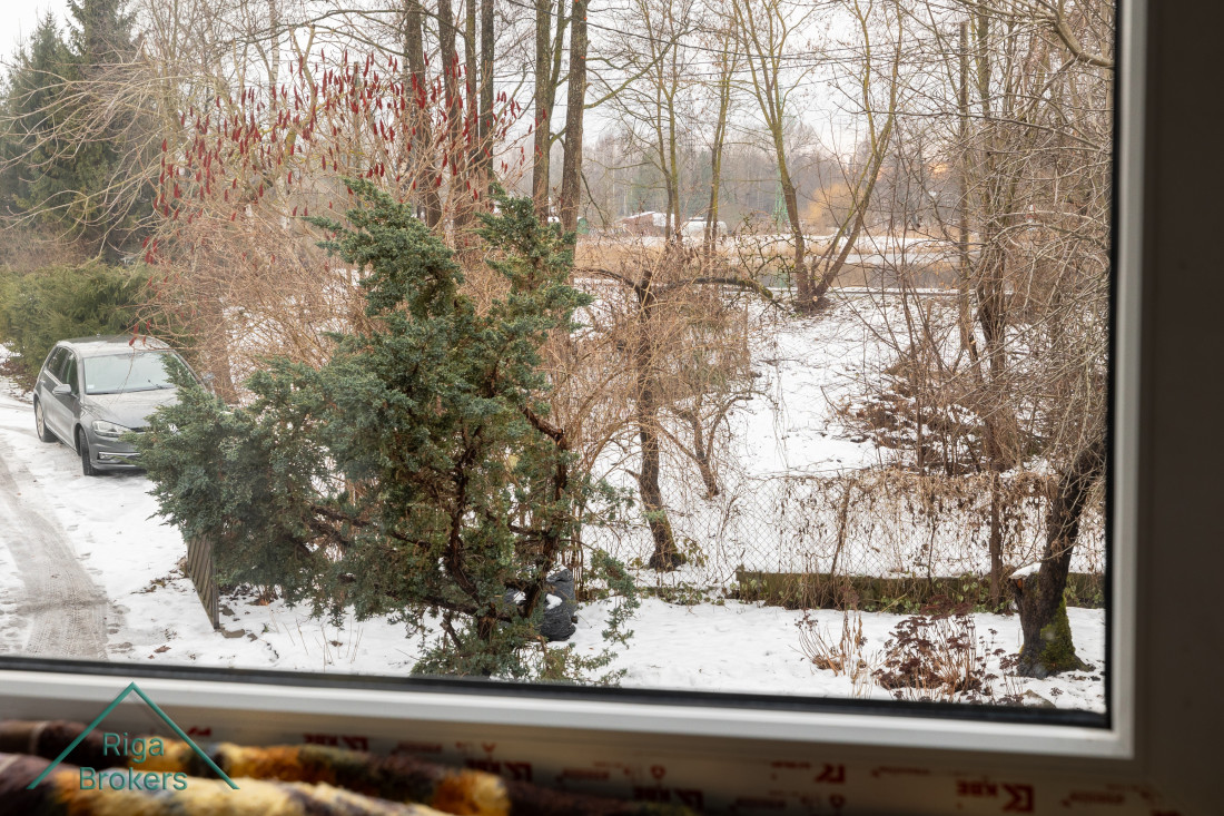 View from window to snowy yard.
