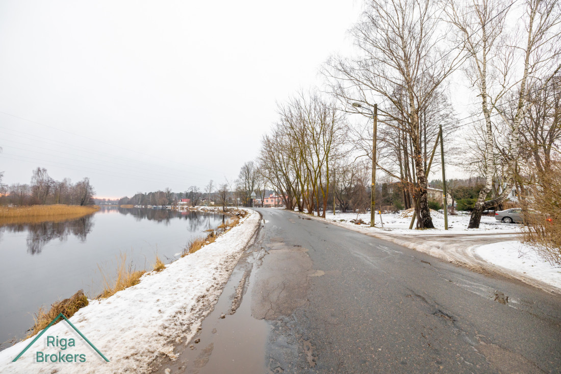 Road along the river with trees and houses.