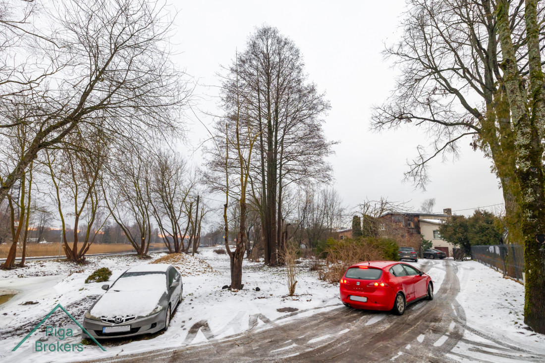 Snowy yard with cars and trees.