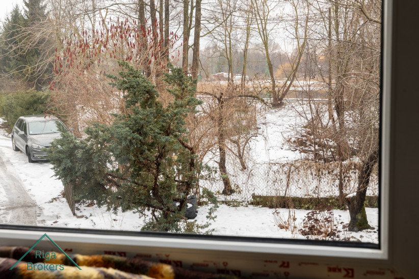 View from window to snowy yard.