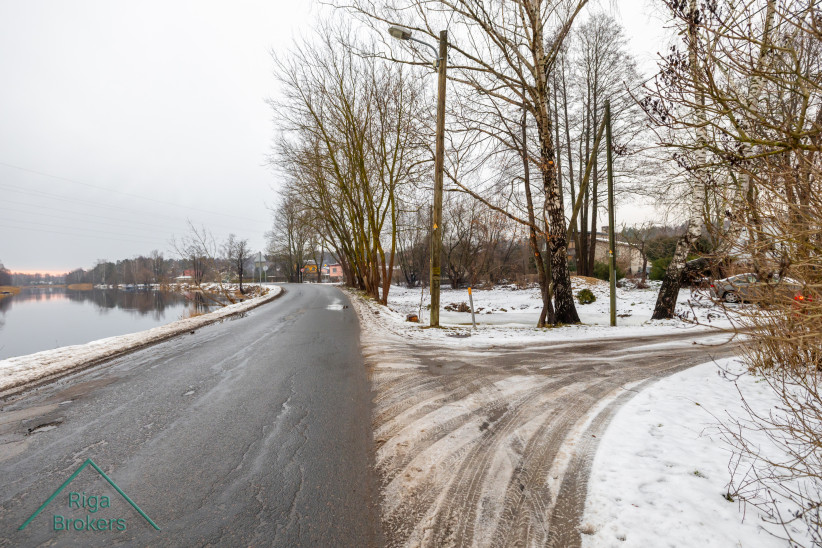 Road along the river with trees and houses.