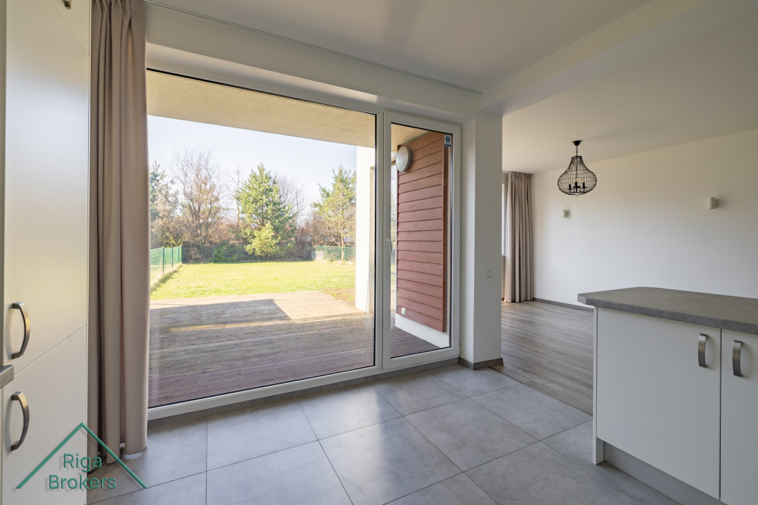 Garden view from kitchen area