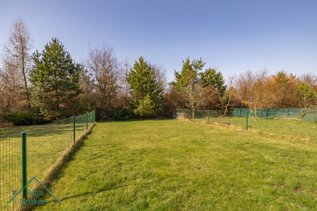 Green fenced yard with trees