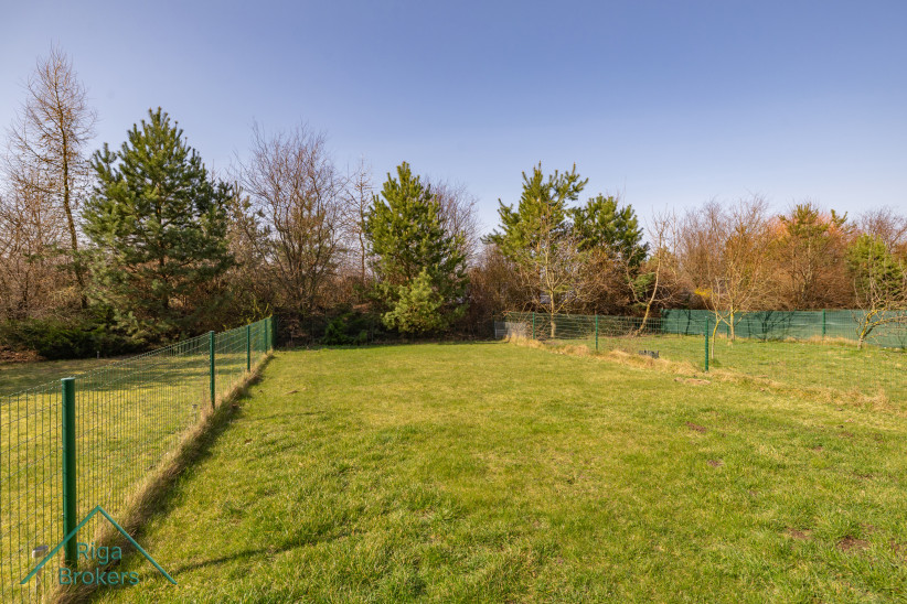 Green fenced yard with trees