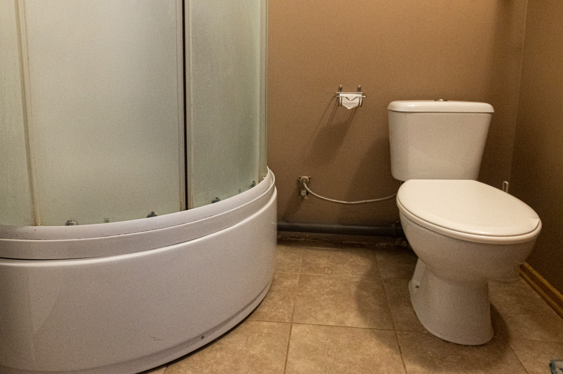 Toilet with adjacent shower area