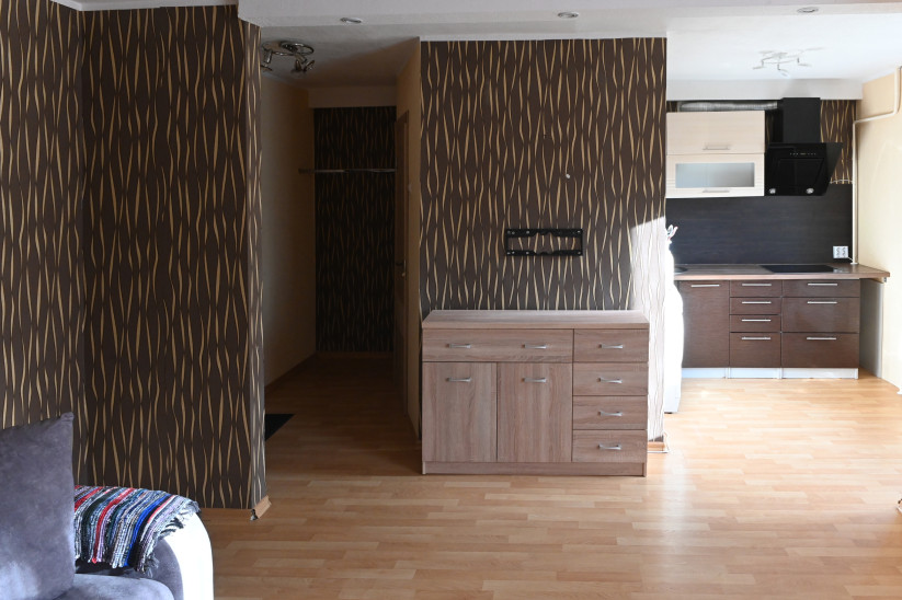 Apartment hallway and kitchen with dark finish