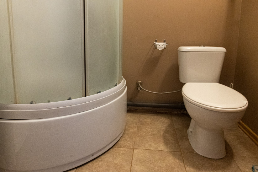 Toilet with adjacent shower area