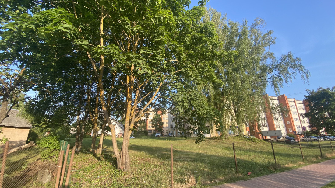 Zaļš laukums ar kokiem un mājām fonā.