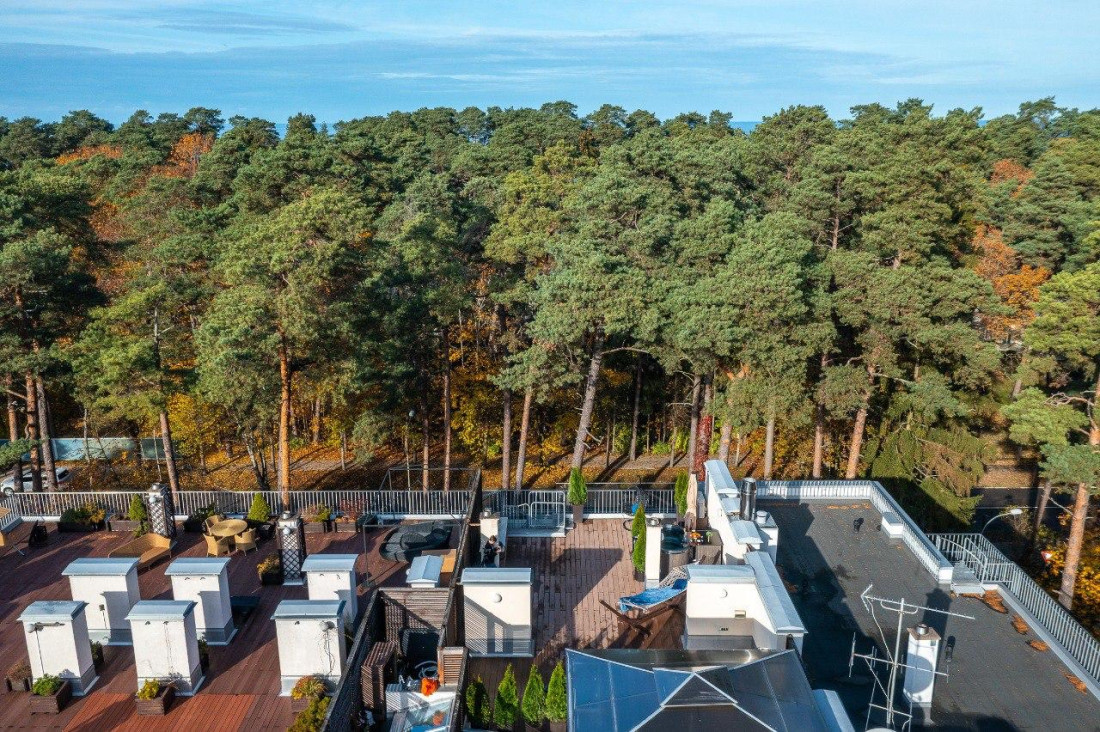 Rooftop terrace with a view of the pine forest.